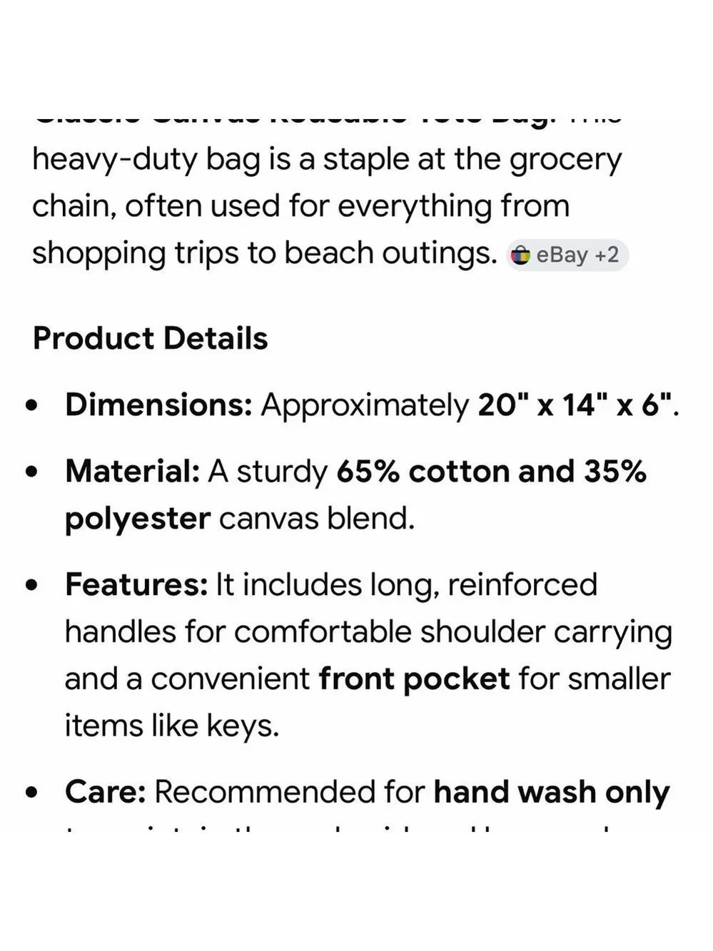 NWT Trader Joe's Navy Big Canvas Tote Bag
